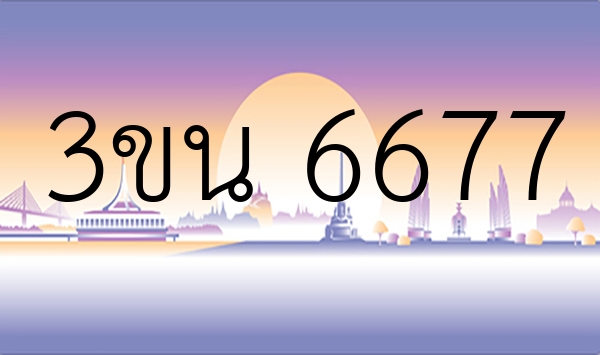 3ขน 6677